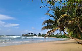 Moonlight Beach